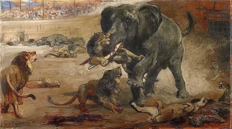 Arena con elefanti, leoni e leopardi